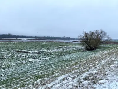 Einfamilienhaus und Land-/Forstwirtschaftsflächen in Bad Freienwalde OT Hohensaaten
