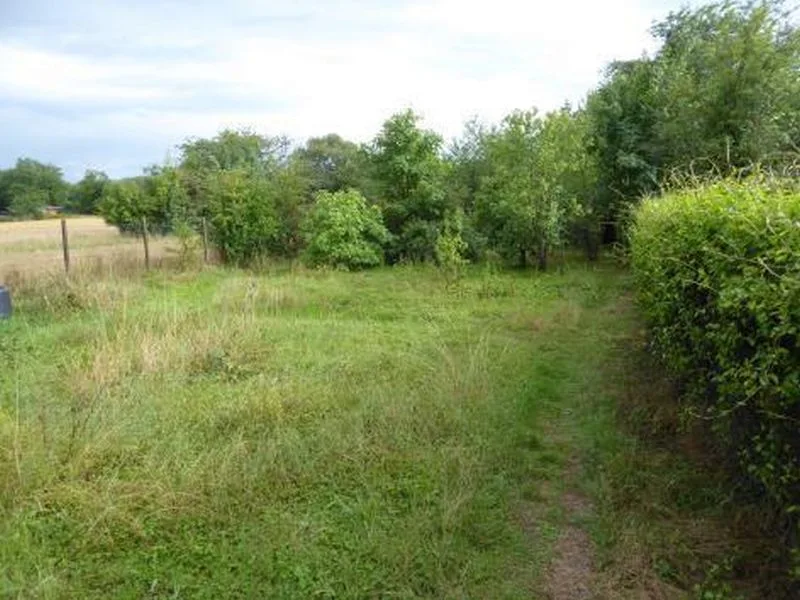 Landwirtschaftsflächen in Sandhausen — Bild 2