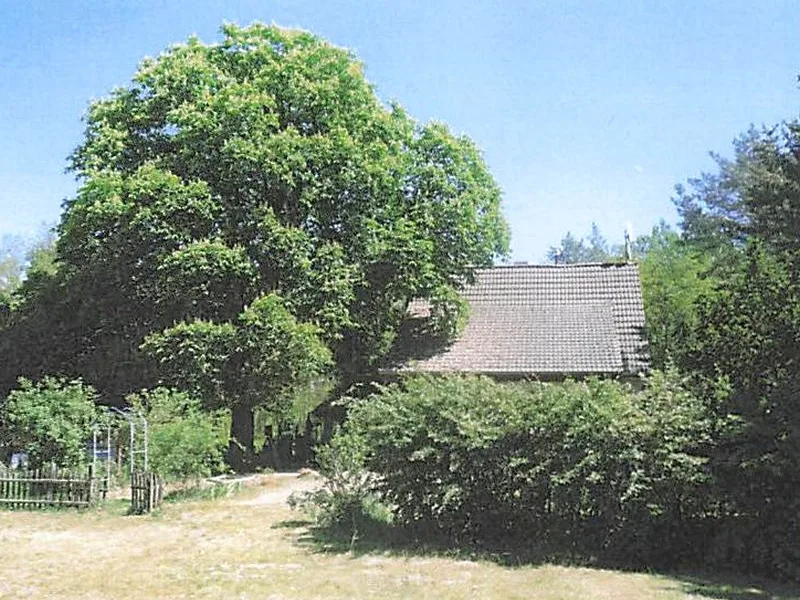 Einfamilienhaus und Waldfläche in Jacobsdorf — Bild 3