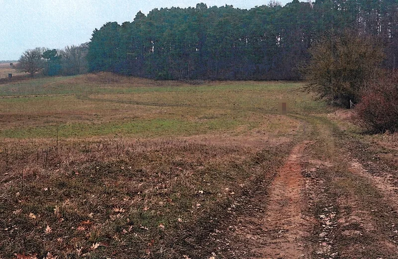 Land-/Forstwirtschaftsflächen in Eisenhüttenstadt OT Diehlo — Bild 2