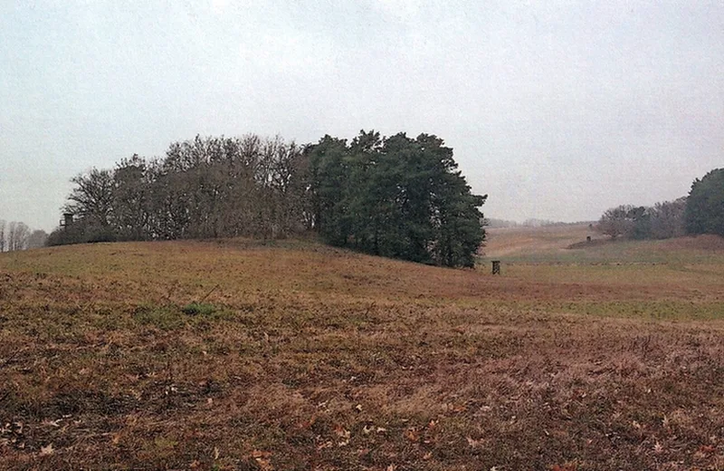 Land-/Forstwirtschaftsflächen in Eisenhüttenstadt OT Diehlo — Bild 3