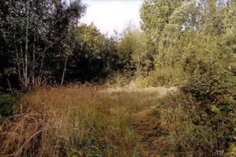 Bauland (unbebaut, jedoch Wohnhausreste vorhanden) in Greifswald — Bild 2