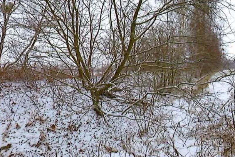 Landwirtschaftsflächen in Neu — Bild 3