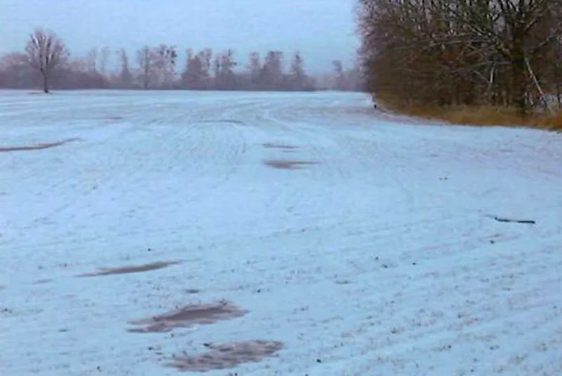 Landwirtschaftsflächen in Neu