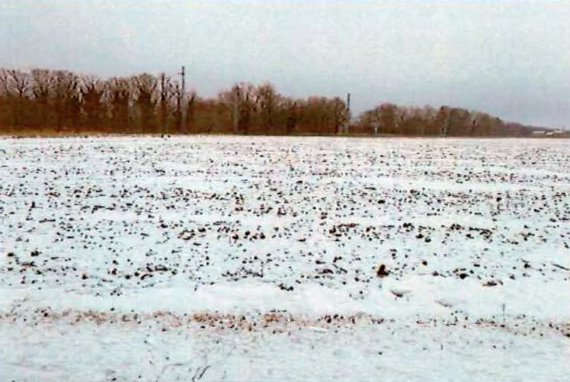 Landwirtschaftsflächen in Neu — Bild 2
