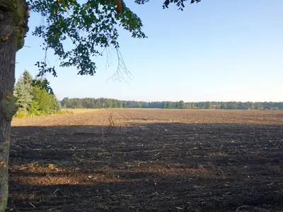 Ackerland in Bahnsdorf