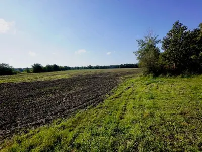 Ackerland in Bahnsdorf