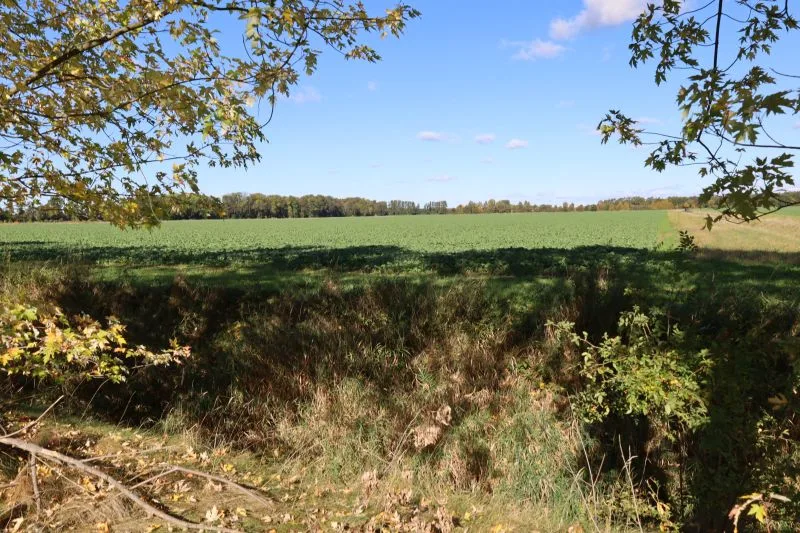 Landwirtschaftsflächen in Großkmehlen OT Kleinkmehlen