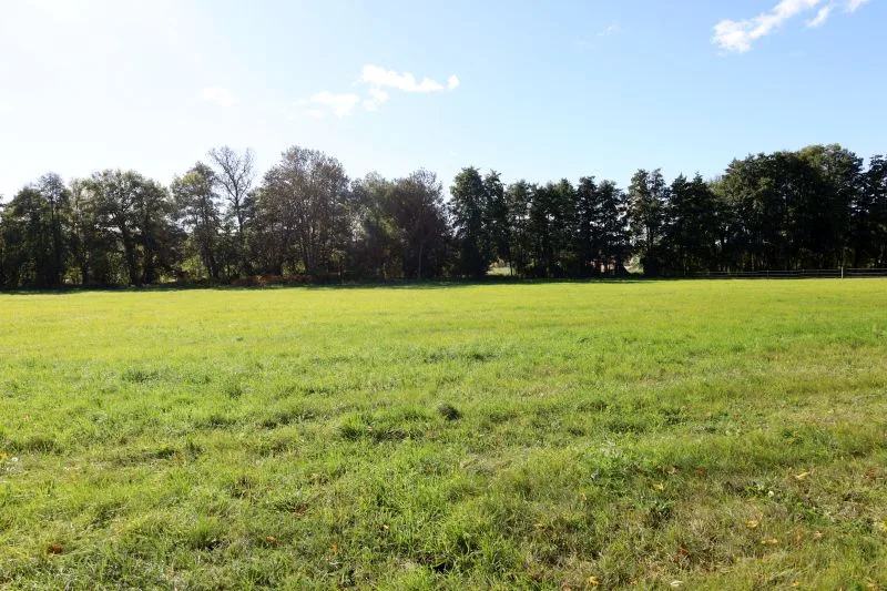Landwirtschaftsflächen in Großkmehlen OT Kleinkmehlen — Bild 2