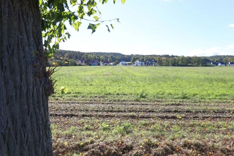 Landwirtschaftsflächen in Großkmehlen OT Kleinkmehlen — Bild 3