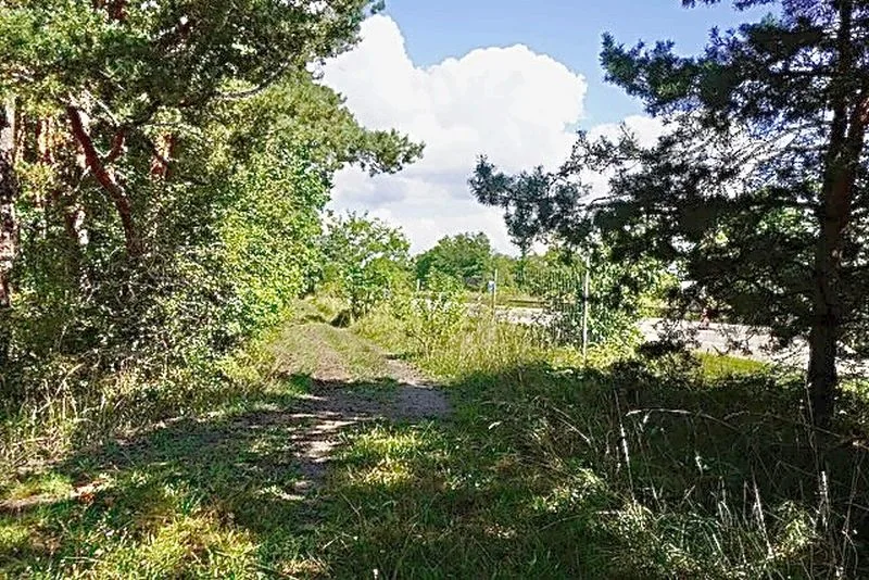 Waldfläche und Verkehrsfläche in Schwarzheide — Bild 2
