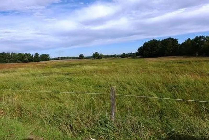 Grün-/Ackerland und Waldfläche in Luckaitztal OT Schöllnitz