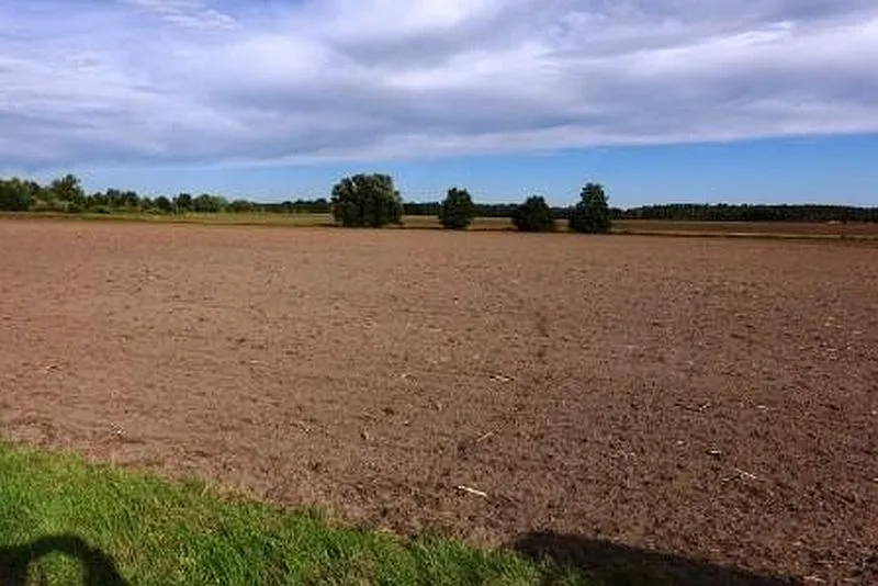 Grün-/Ackerland und Waldfläche in Luckaitztal OT Schöllnitz — Bild 2