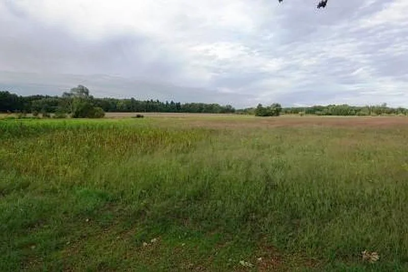 Grün-/Ackerland und Waldfläche in Luckaitztal OT Schöllnitz — Bild 3