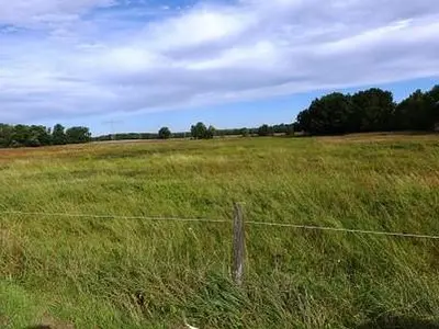 Grün-/Ackerland und Waldfläche in Luckaitztal OT Schöllnitz