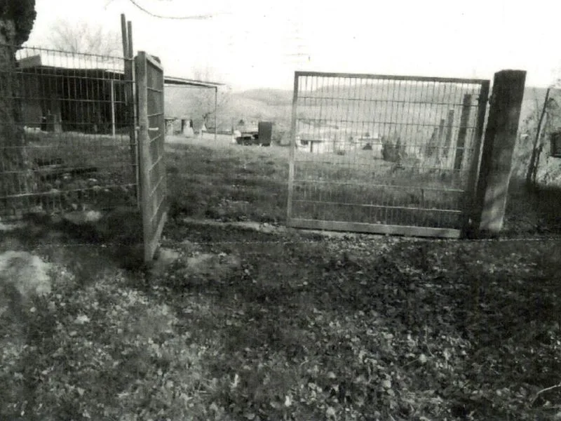 Freizeitgartenfläche in Flein — Bild 2
