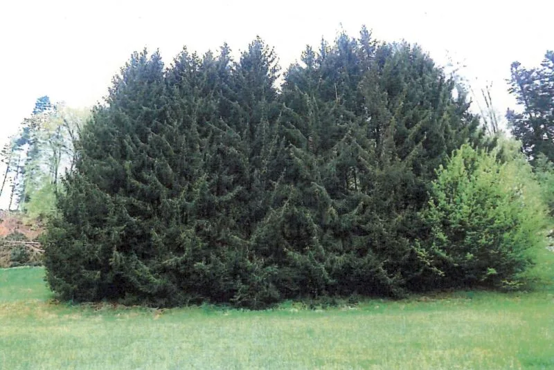 Landwirtschaftsflächen in Wüstenrot — Bild 2