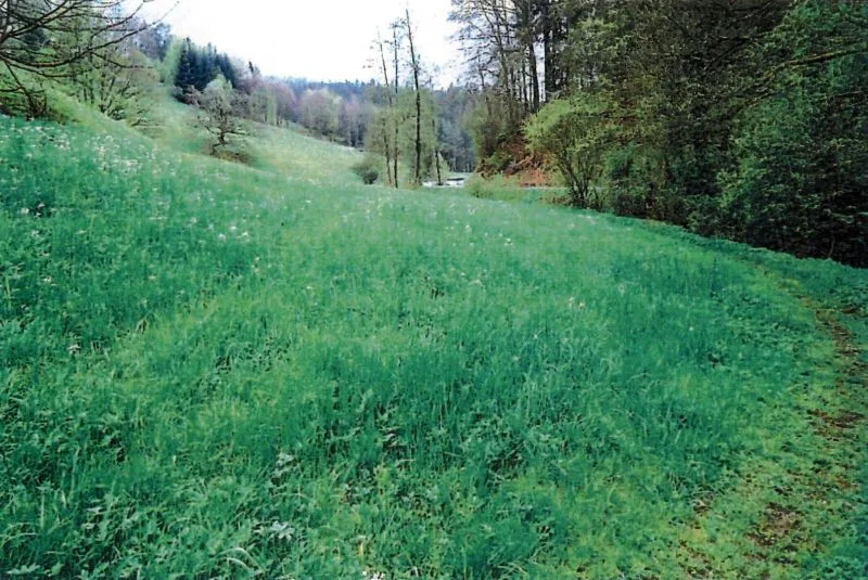 Landwirtschaftsflächen in Wüstenrot — Bild 3