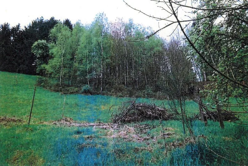 Einfamilienhaus nebst Scheunengebäude mit integrierter Garage in Wüstenrot — Bild 3