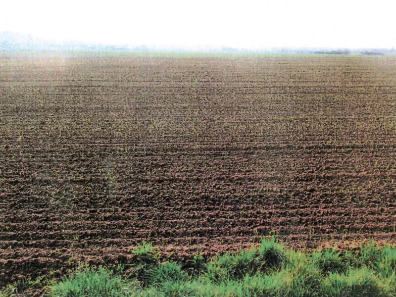 Landwirtschaftsflächen in Neuenstadt am Kocher (Kochertürn) — Bild 3