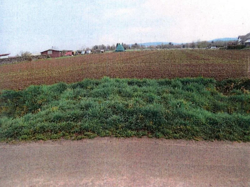 Landwirtschaftsflächen in Neuenstadt am Kocher (Kochertürn) — Bild 2