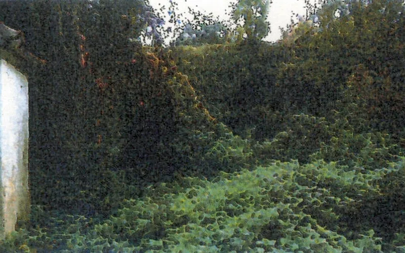 Grundstück mit denkmalgeschützter Kapelle in Neuenstadt am Kocher (Kochertürn) — Bild 2