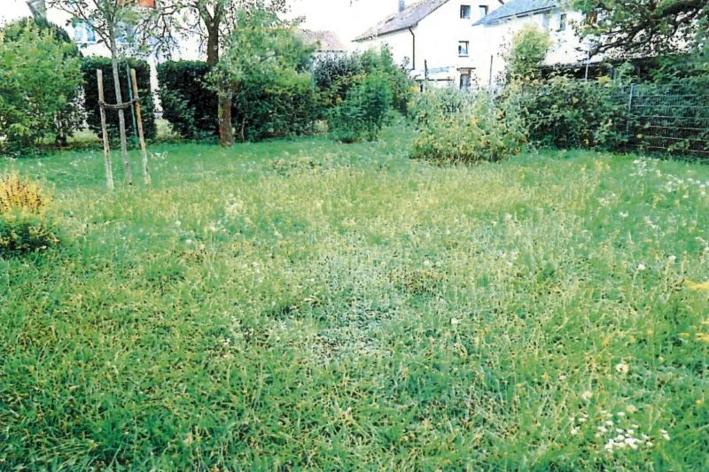 Zweifamilienhaus mit Garage in Bad Friedrichshall — Bild 3