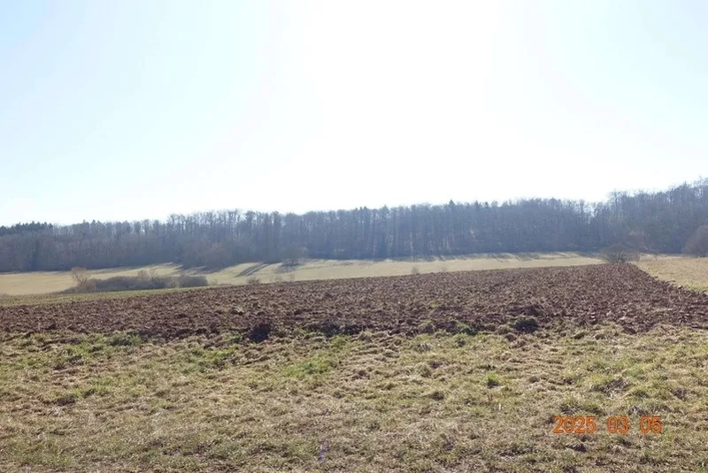 Landwirtschaftsfläche in Böblingen — Bild 2