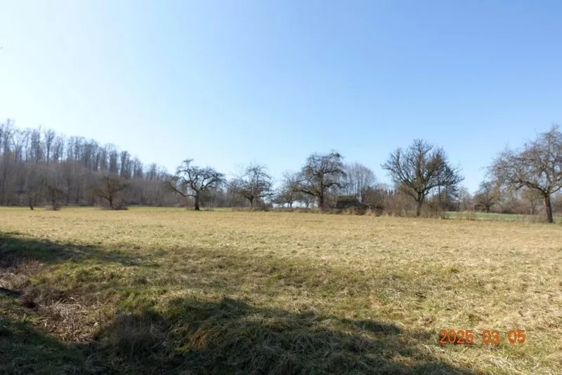 Landwirtschaftsfläche in Böblingen — Bild 2