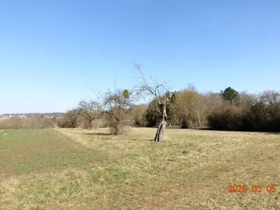 Landwirtschaftsfläche in Böblingen
