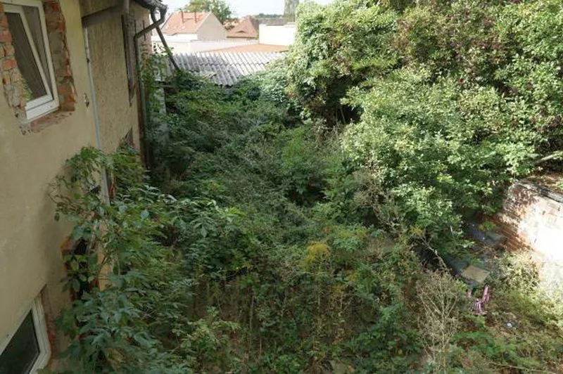 Einfamilienhaus mit hofseitigem Anbau und Nebenbauten in Arnstein OT Sandersleben — Bild 3