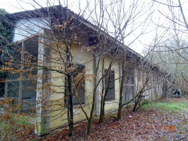 Grundstück mit ehem. Außenstall in Mansfeld OT Molmerswende — Bild 3