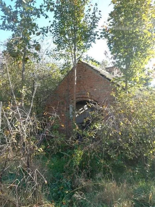 Ehemalige Hofstelle und Landwirtschafts-/Wald-/Wasserfläche in Schlepzig — Bild 2