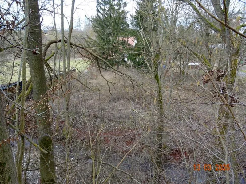 Einfamilienhaus mit Nebengelassen in Mansfeld OT Möllendorf — Bild 2