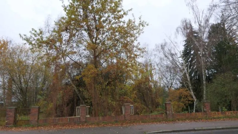 Ungenutztes Grundstück und Grundstück mit Garage in Forst (Lausitz) — Bild 3