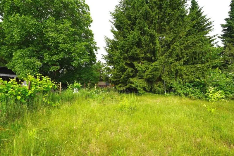 Unbebautes Grundstück in Spremberg OT Sellessen — Bild 2