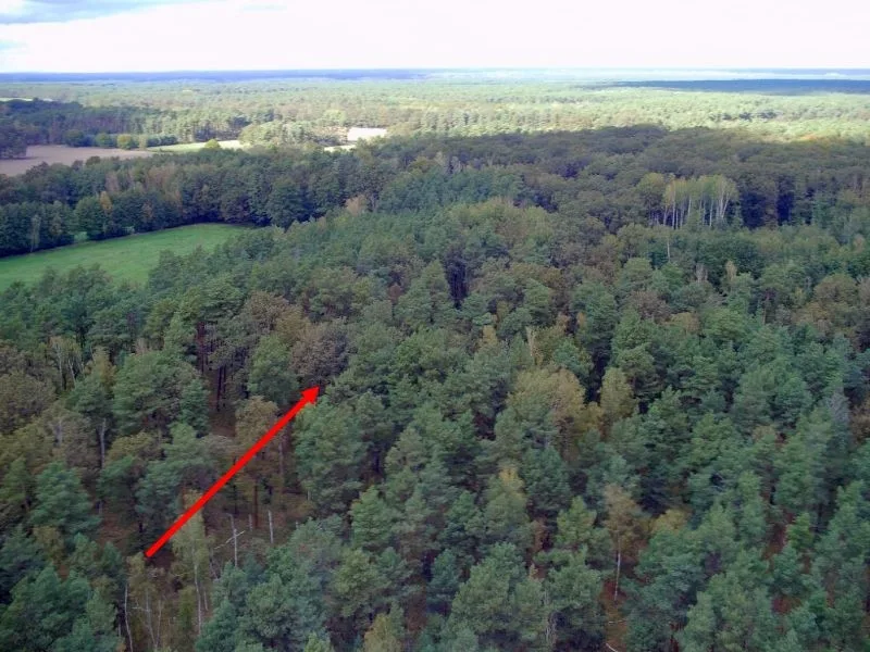 Waldfläche und anteilige Grünlandfläche in Kolkwitz OT Gulben — Bild 2