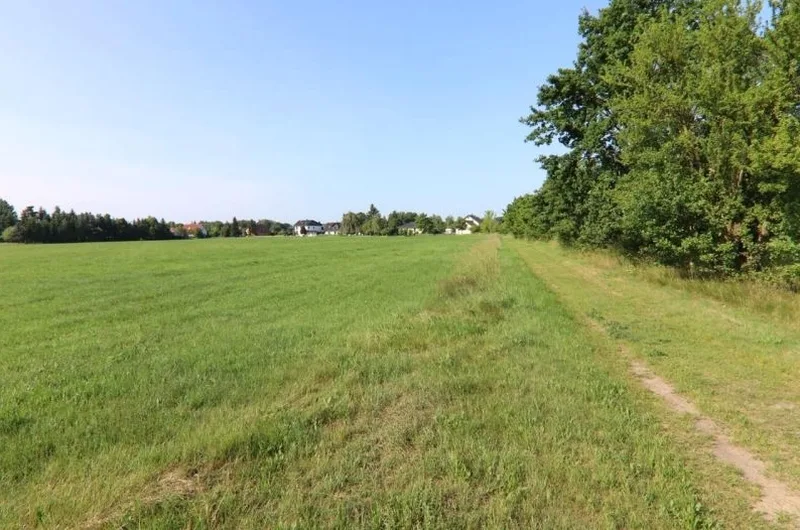 Landwirtschaftlich genutztes Grundstück (Grünland) in Wiesengrund OT Trebendorf