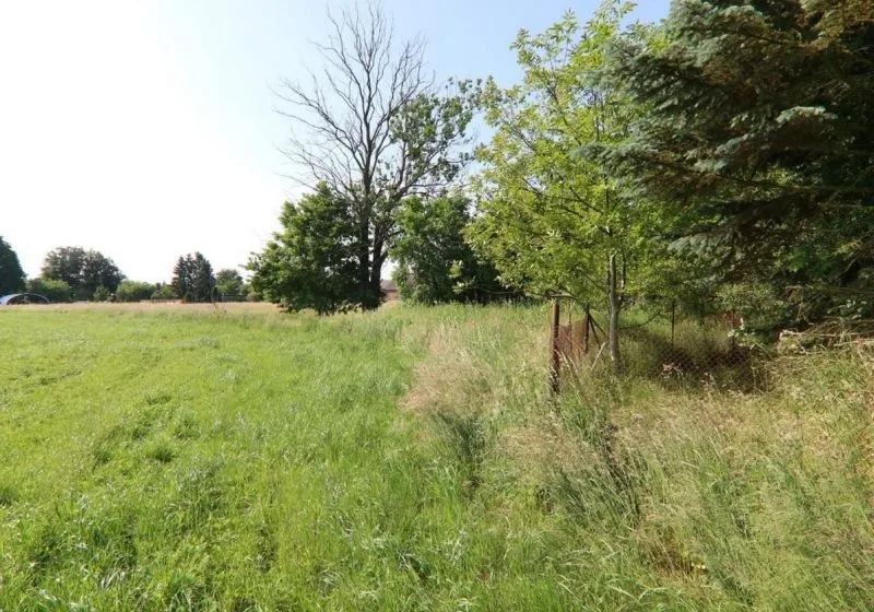 Landwirtschafts-/Waldfläche in Wiesengrund OT Trebendorf