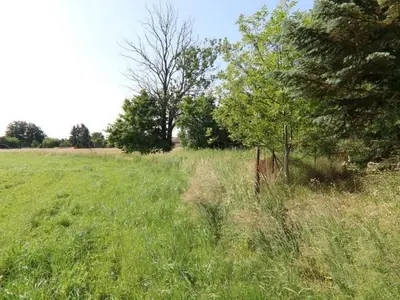 Landwirtschafts-/Waldfläche in Wiesengrund OT Trebendorf