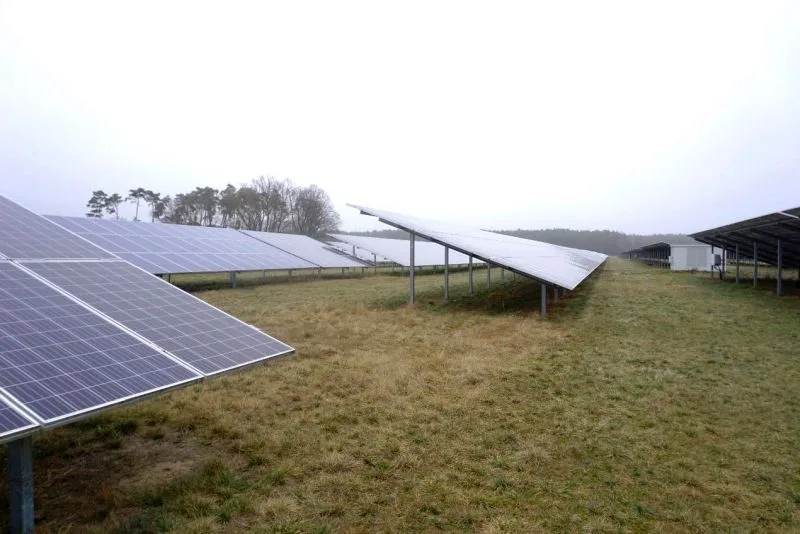 Landwirtschaftsfläche im Solarpark 'Frauendorf' in Neuhausen/Spreee OT Frauendorf — Bild 2