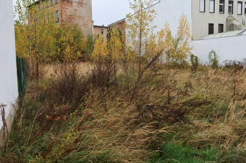 Ungenutztes und verwildertes Grundstück in Zeitz — Bild 3