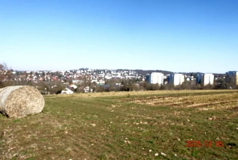 Landwirtschaftsfläche (Bauerwartungsland) in Böblingen