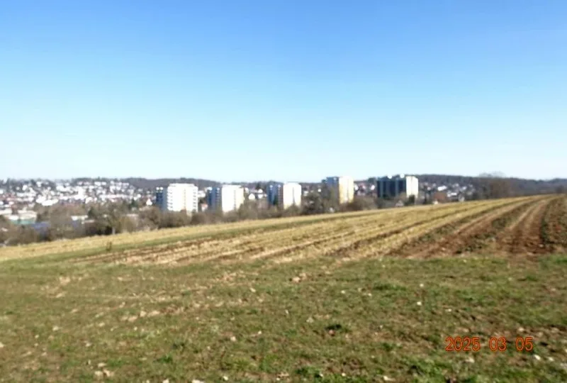 Landwirtschaftsfläche (Bauerwartungsland) in Böblingen