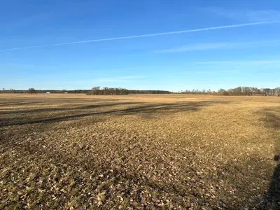 Unbebautes Grundstück, Grünland in Friedland