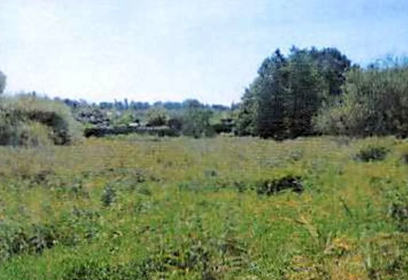 Zwei Einfamilienhäuser, Landwirtschaftsfläche und Grundstücke in Hamburg — Bild 2