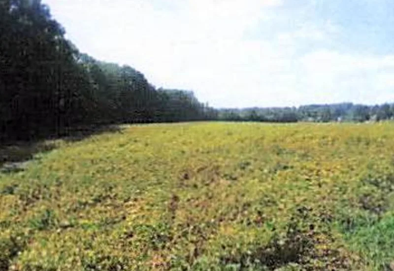 Zwei Einfamilienhäuser, Landwirtschaftsfläche und Grundstücke in Hamburg — Bild 3