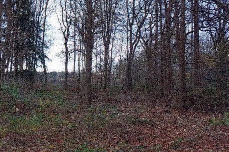 Unbebautes Grundstück (Mischwald) in Klein Nordende — Bild 2