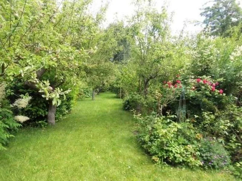 Doppelhaushälfte mit Garage und baulichen Nebenanlagen in Rostock — Bild 3