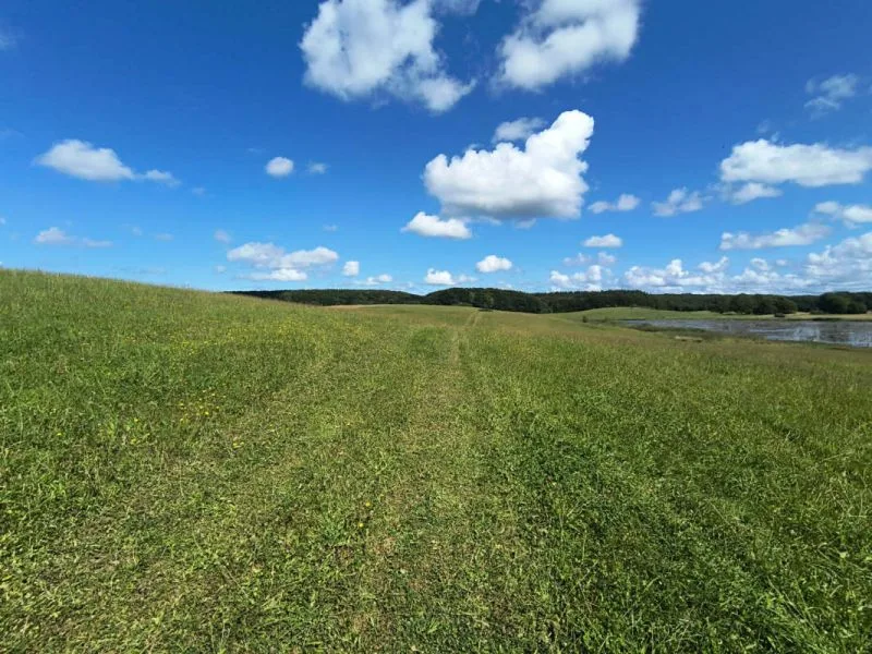 Land-/Forstwirtschaftsflächen und Grundstück mit ruinösem Haus in Promoisel — Bild 2